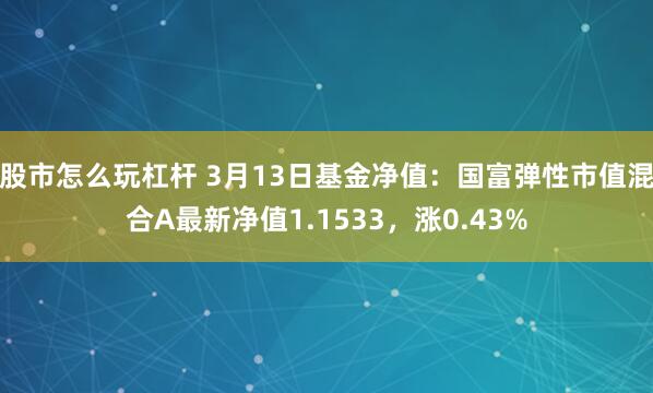 股市怎么玩杠杆 3月13日基金净值：国富弹性市值混合A最新净值1.1533，涨0.43%