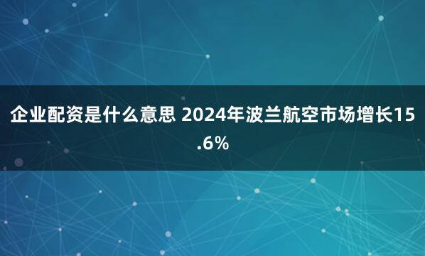 企业配资是什么意思 2024年波兰航空市场增长15.6%