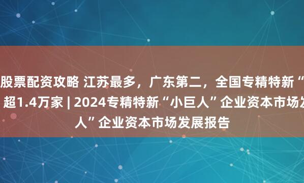 股票配资攻略 江苏最多，广东第二，全国专精特新“小巨人”超1.4万家 | 2024专精特新“小巨人”企业资本市场发展报告