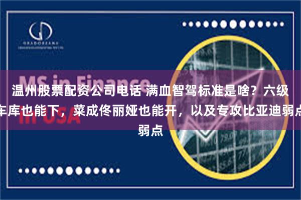 温州股票配资公司电话 满血智驾标准是啥？六级车库也能下，菜成佟丽娅也能开，以及专攻比亚迪弱点