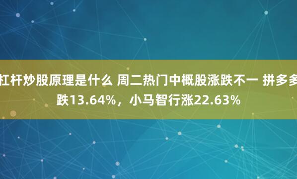 杠杆炒股原理是什么 周二热门中概股涨跌不一 拼多多跌13.64%，小马智行涨22.63%