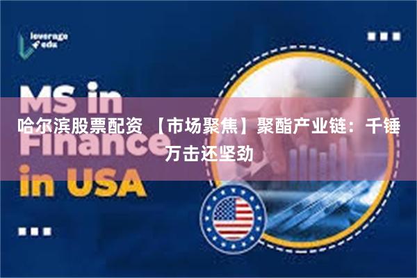 哈尔滨股票配资 【市场聚焦】聚酯产业链：千锤万击还坚劲