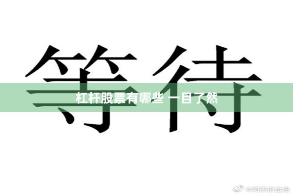 杠杆股票有哪些 一目了然
