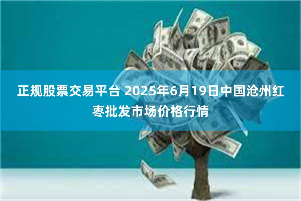 正规股票交易平台 2025年6月19日中国沧州红枣批发市场价格行情