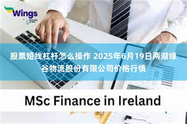 股票短线杠杆怎么操作 2025年6月19日两湖绿谷物流股份有限公司价格行情
