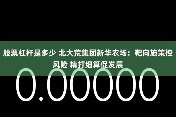 股票杠杆是多少 北大荒集团新华农场：靶向施策控风险 精打细算促发展