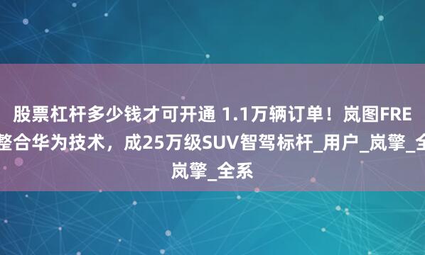 股票杠杆多少钱才可开通 1.1万辆订单！岚图FREE+整合华为技术，成25万级SUV智驾标杆_用户_岚擎_全系