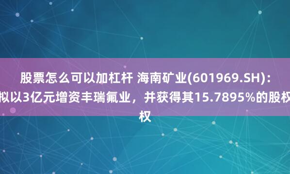 股票怎么可以加杠杆 海南矿业(601969.SH)：拟以3亿元增资丰瑞氟业，并获得其15.7895%的股权