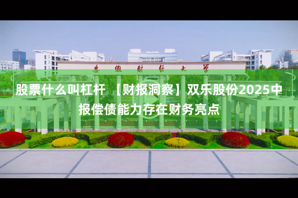 股票什么叫杠杆 【财报洞察】双乐股份2025中报偿债能力存在财务亮点