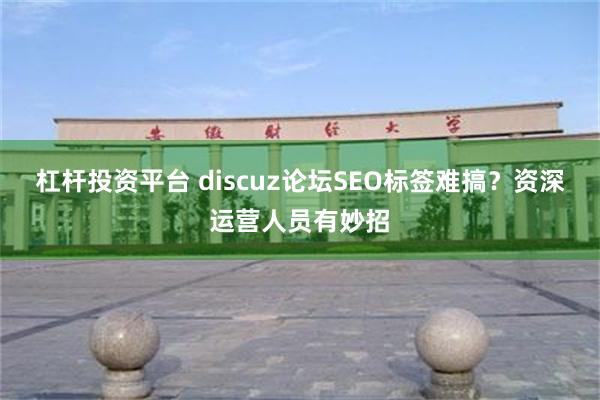 杠杆投资平台 discuz论坛SEO标签难搞？资深运营人员有妙招