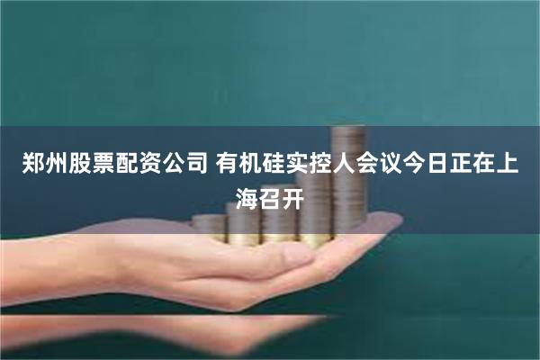 郑州股票配资公司 有机硅实控人会议今日正在上海召开
