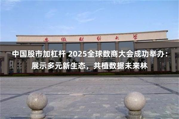 中国股市加杠杆 2025全球数商大会成功举办：展示多元新生态，共植数据未来林